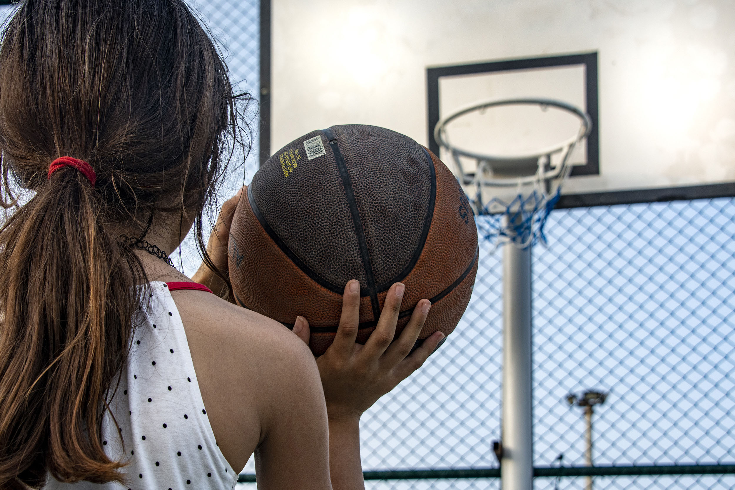 Sera Altı Yetiştiriciliği Destekleri 3